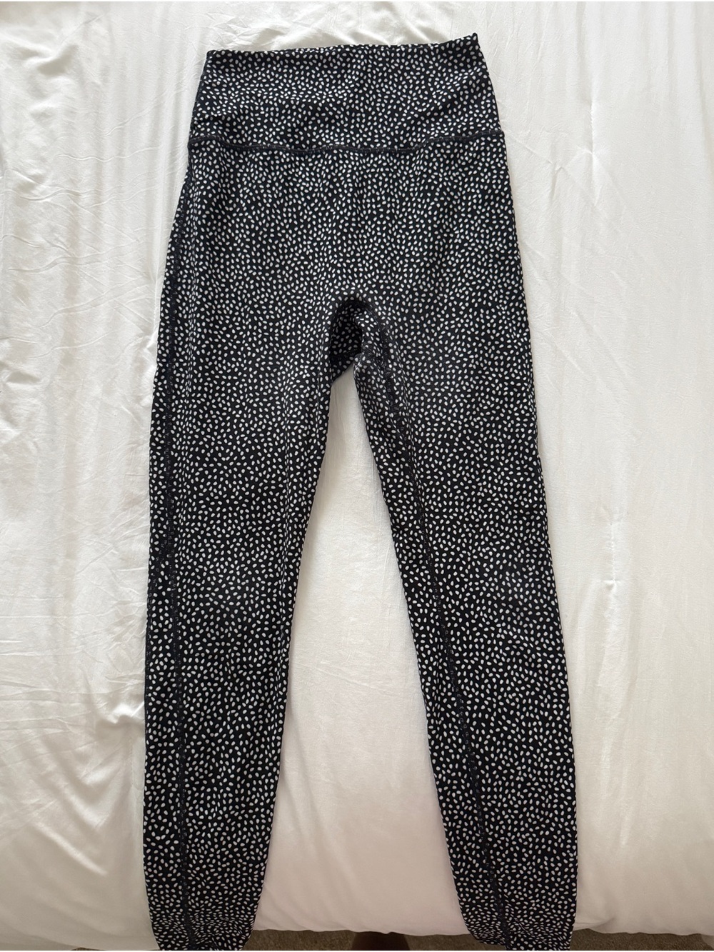 BuffBunny Bossy print pant